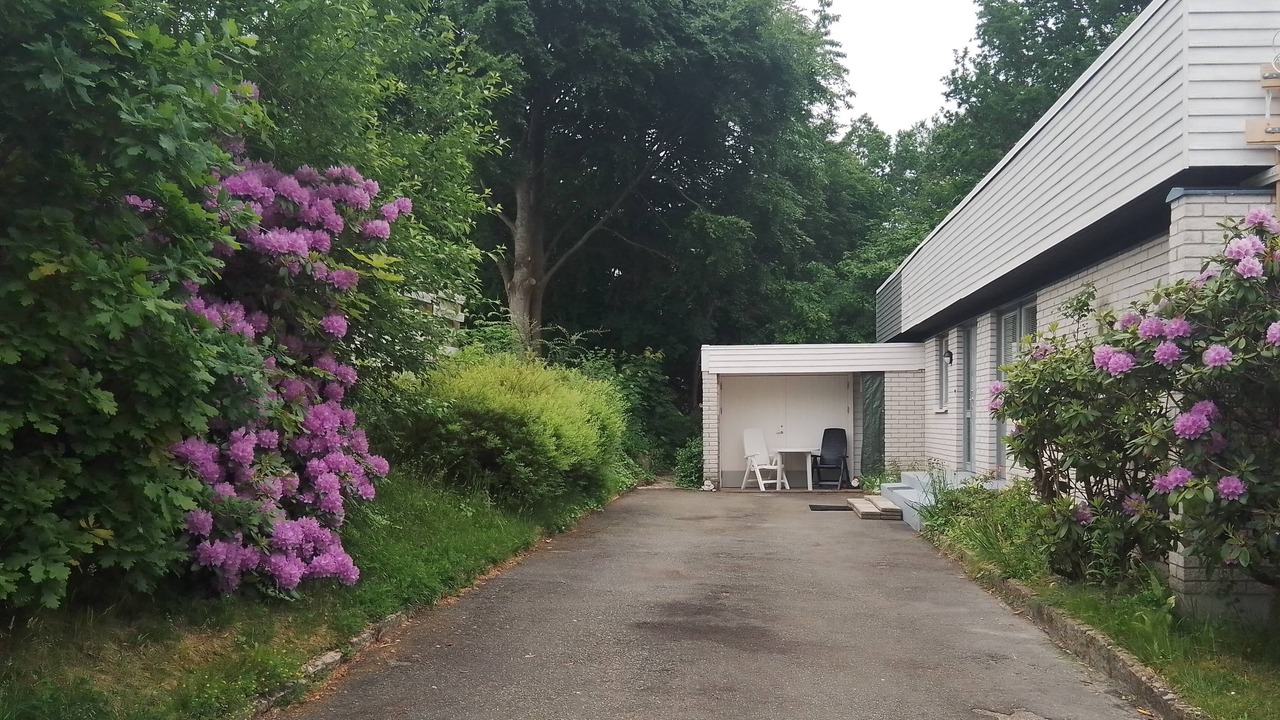 Photo of Outdoor in Jamshog