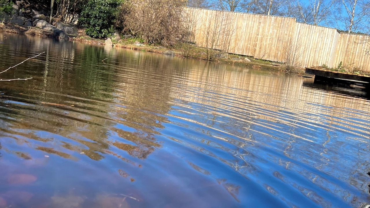 Photo of Outdoor in Halmstad