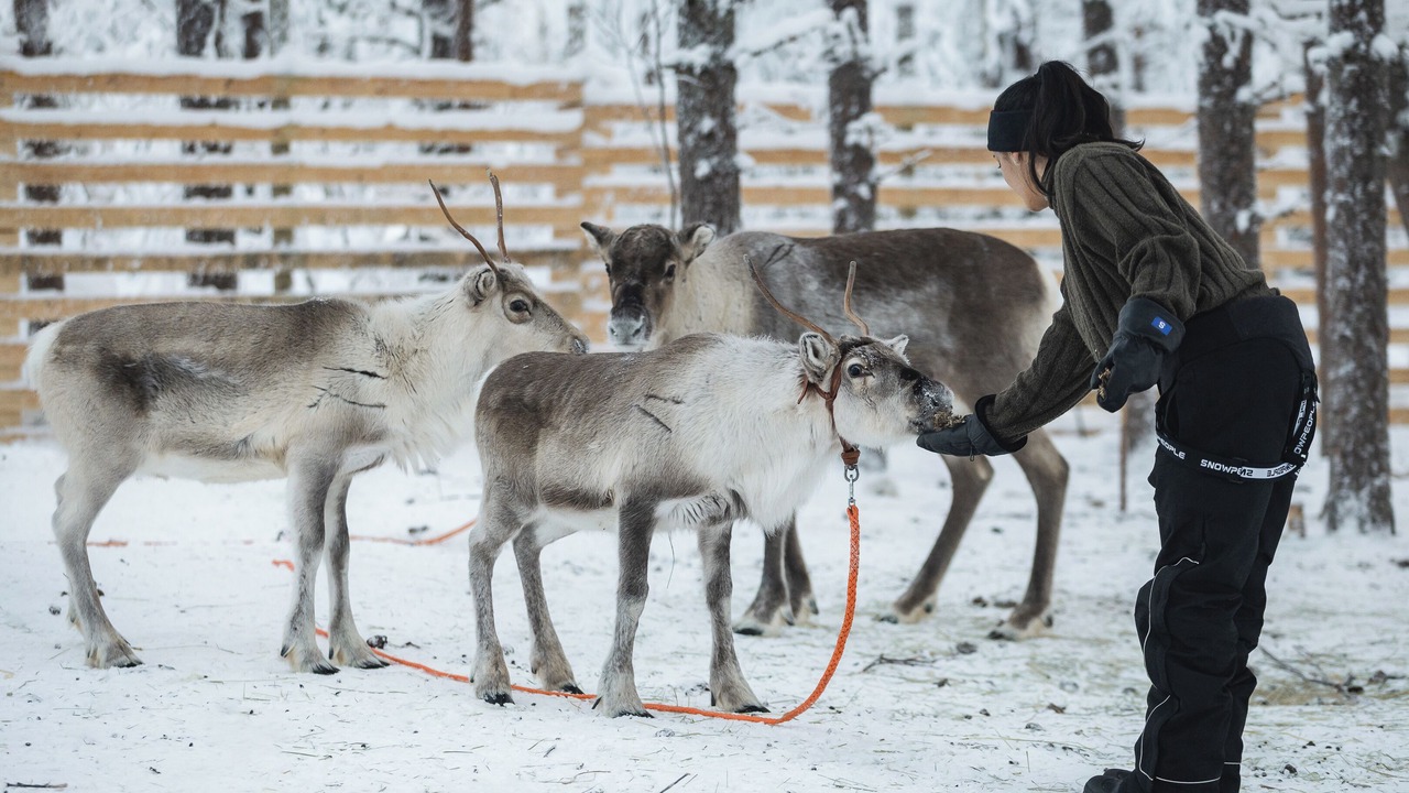 Photo of Outdoor in Rovaniemi