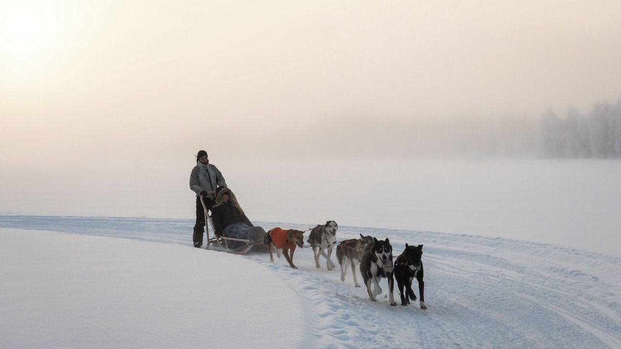 Photo of Outdoor in Rovaniemi