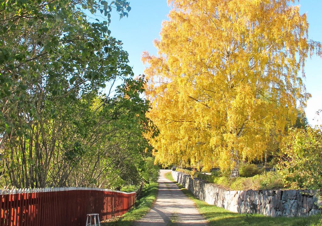 Photo of Outdoor in Adelso