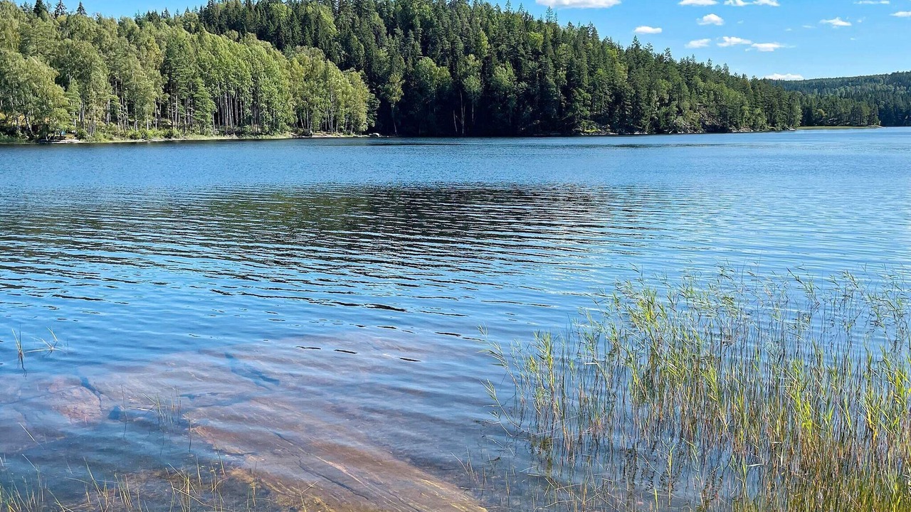 Photo of Others in Dals-Ed Municipality