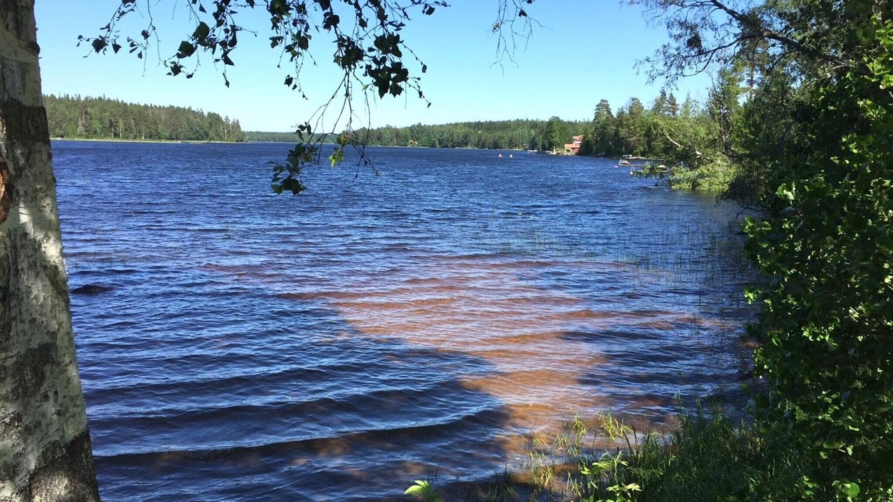 Photo of Others in Horndal