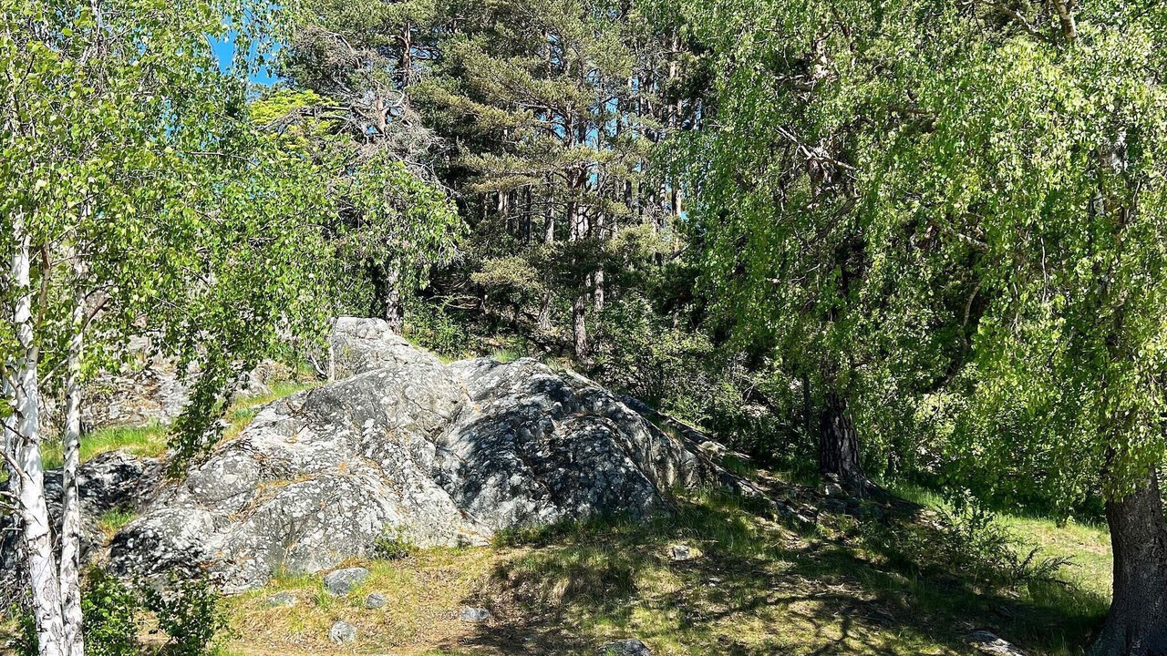 Photo of Others in Stora Vika