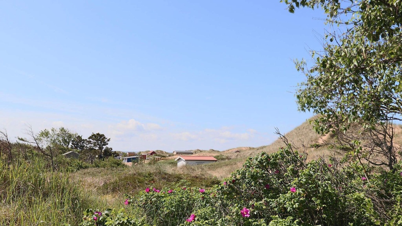 Photo of Outdoor in Mellbystrand