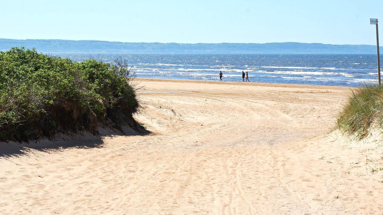 Photo of Others in Mellbystrand