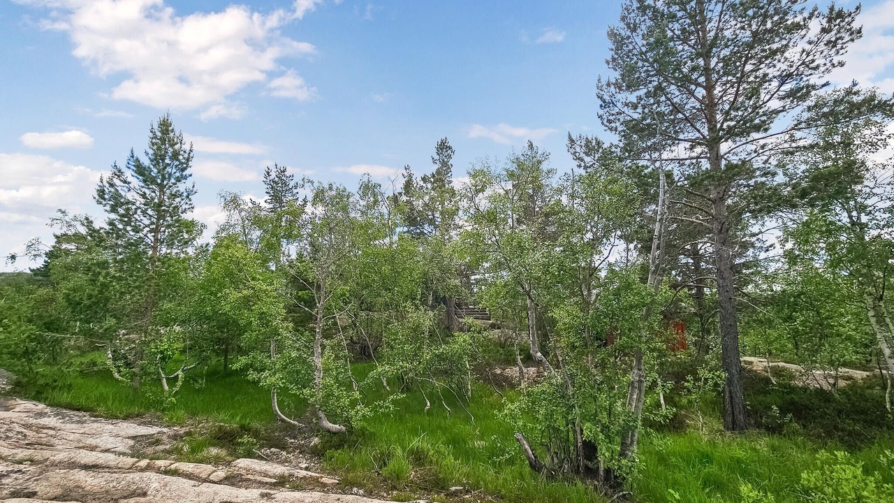 Photo of Outdoor in Nissedal
