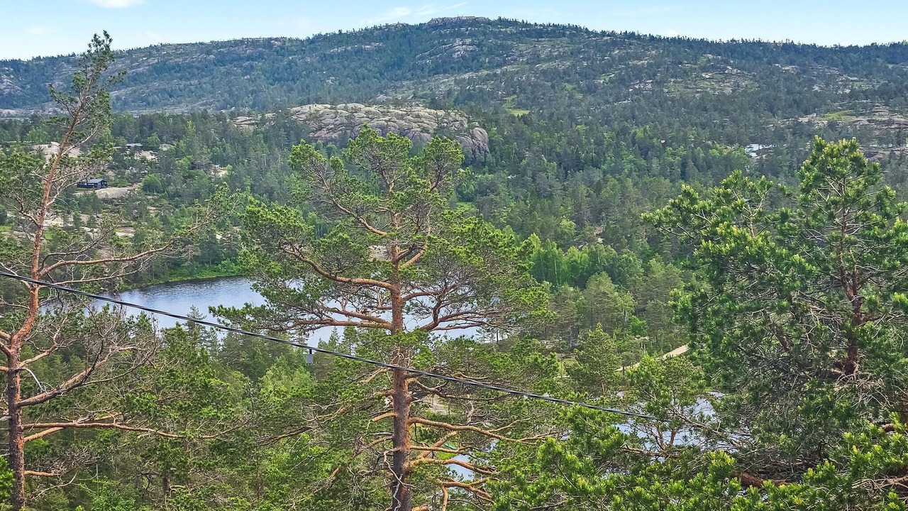 Photo of Others in Nissedal