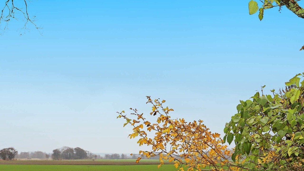 Photo of Others in Laholm