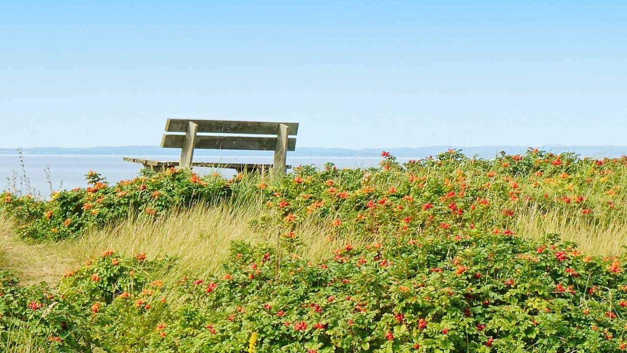 Photo of Outdoor in Laholm