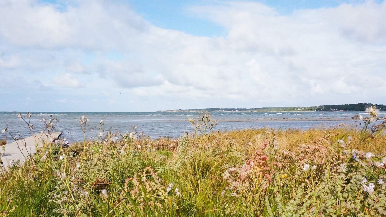 Photo of Others in Varberg Municipality