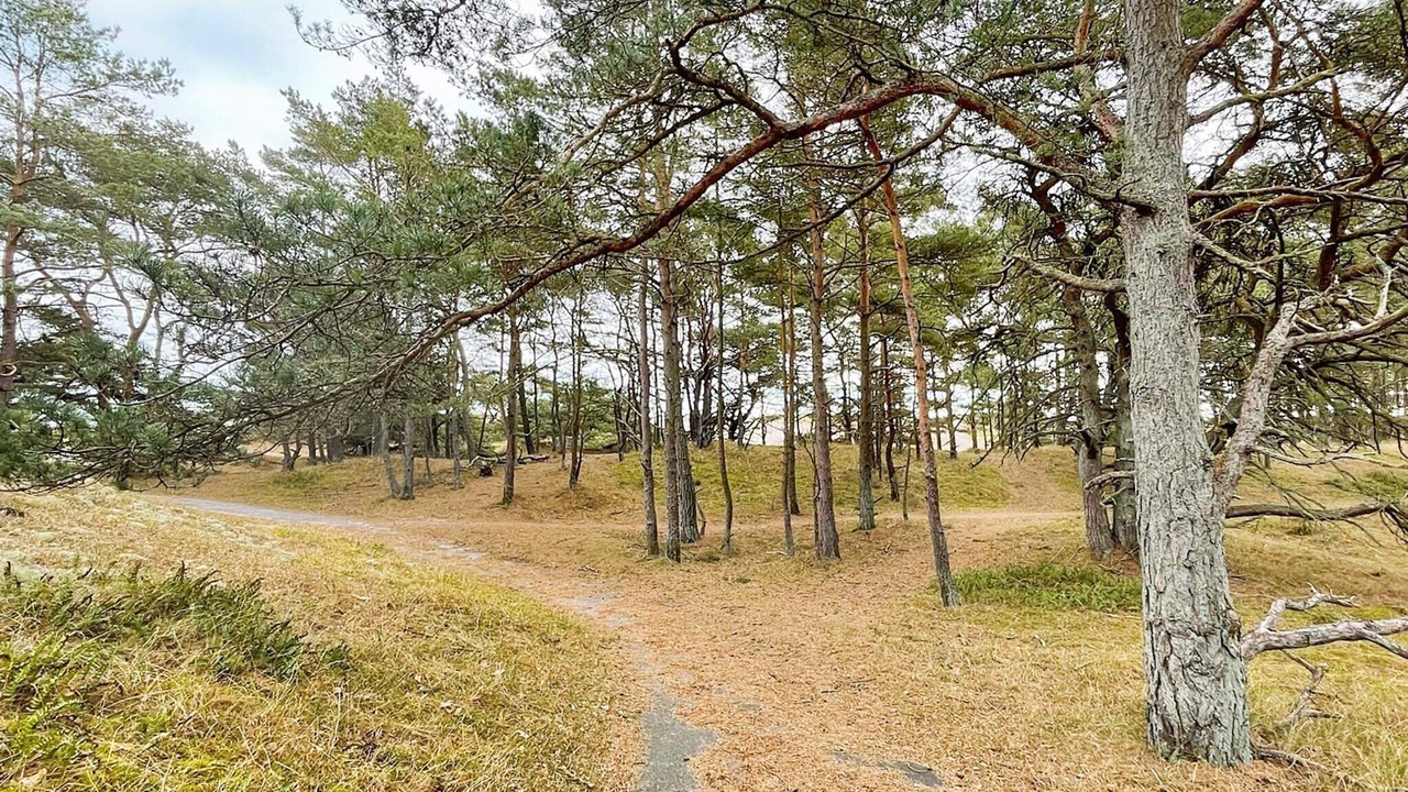 Photo of Others in Yngsjo