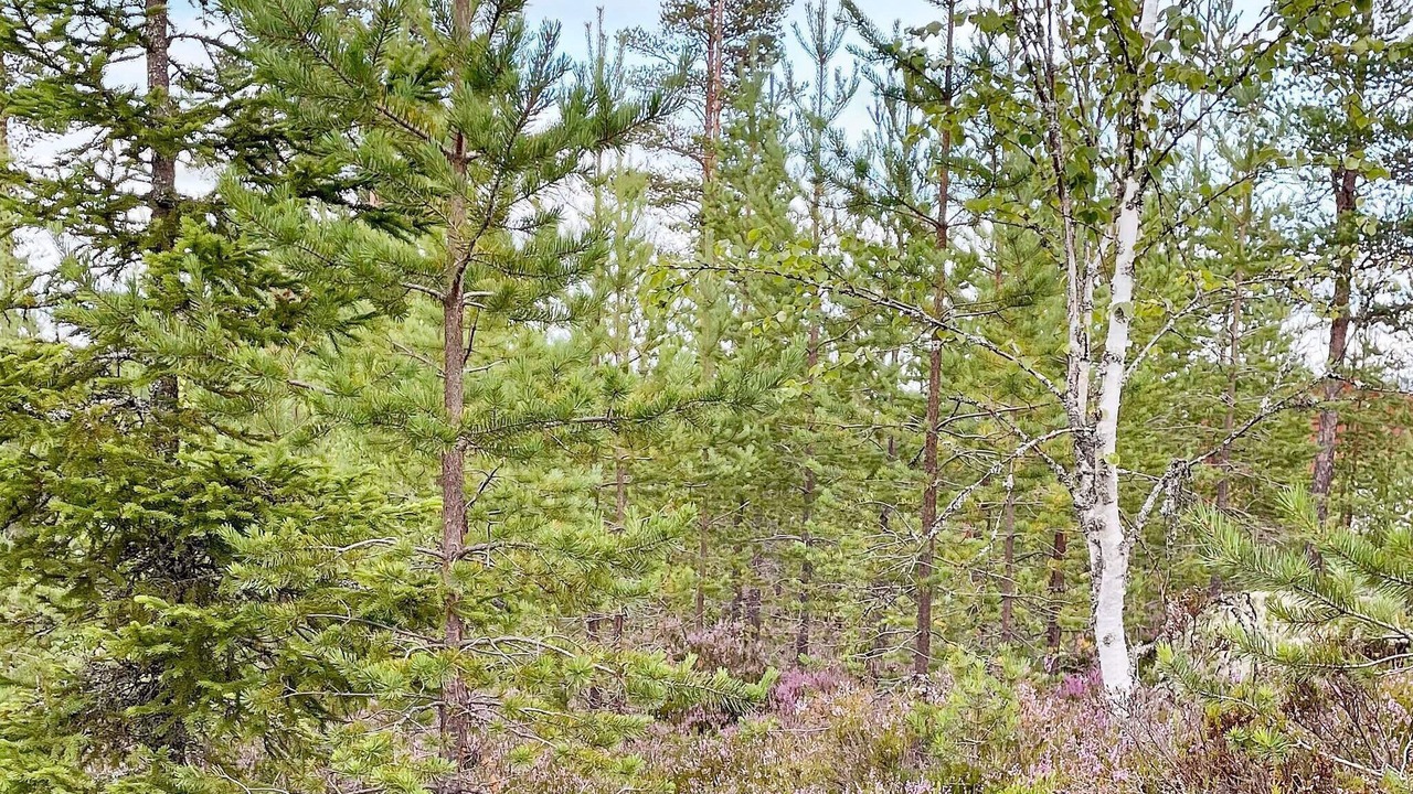 Photo of Others in Stoten