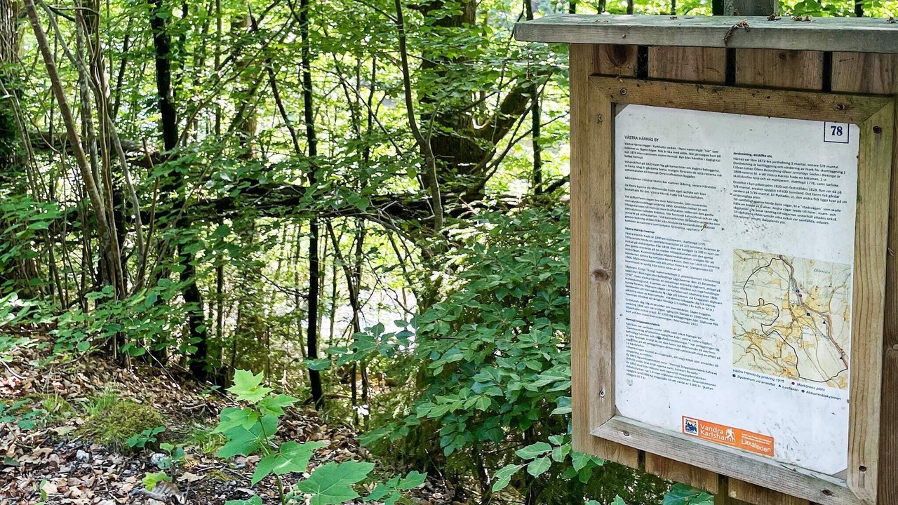 Photo of Outdoor in Hemsjohult