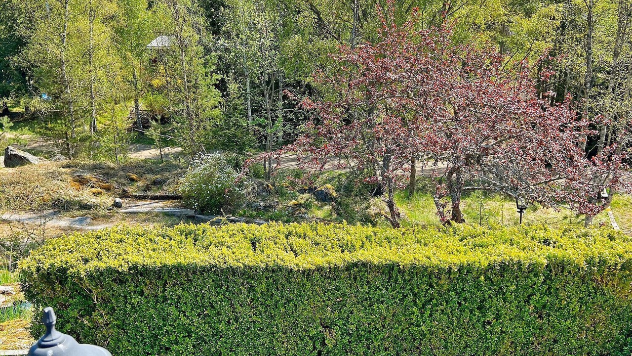 Photo of Outdoor in Nynashamn