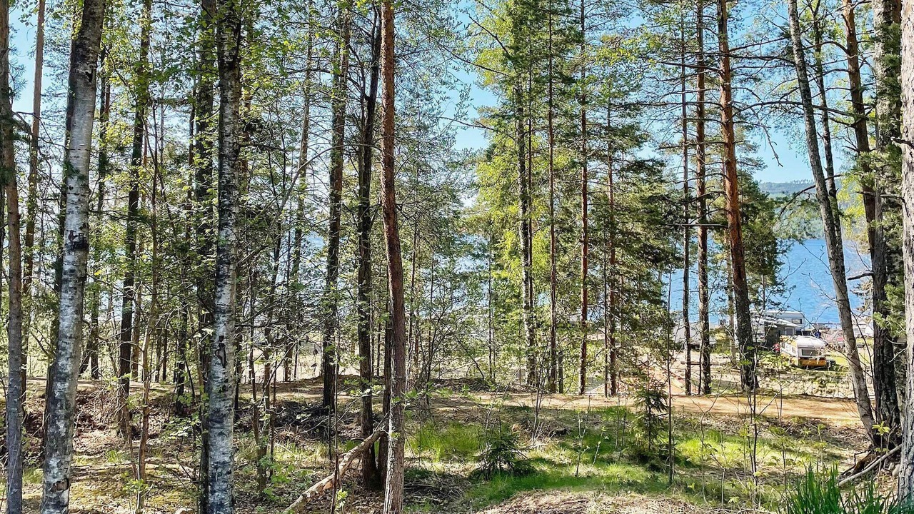 Photo of Others in Lysvik