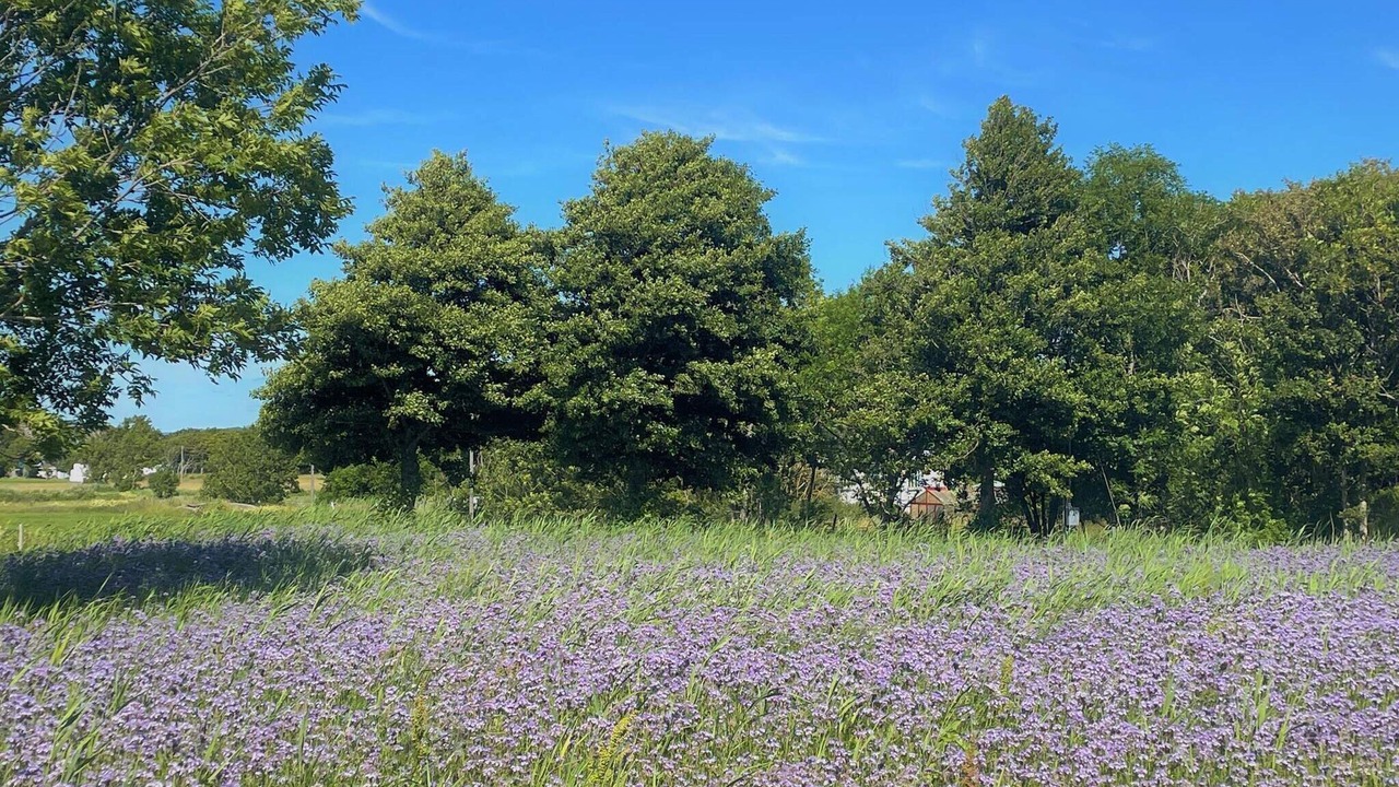 Photo of Outdoor in Skaerhamn