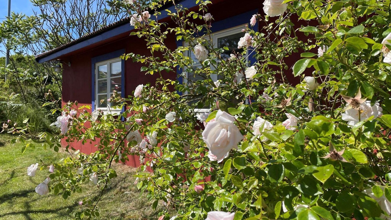 Photo of Outdoor in Skaerhamn
