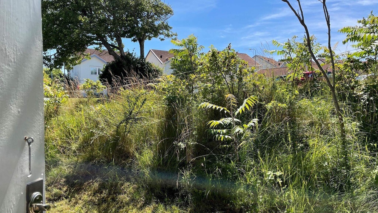 Photo of Outdoor in Skaerhamn
