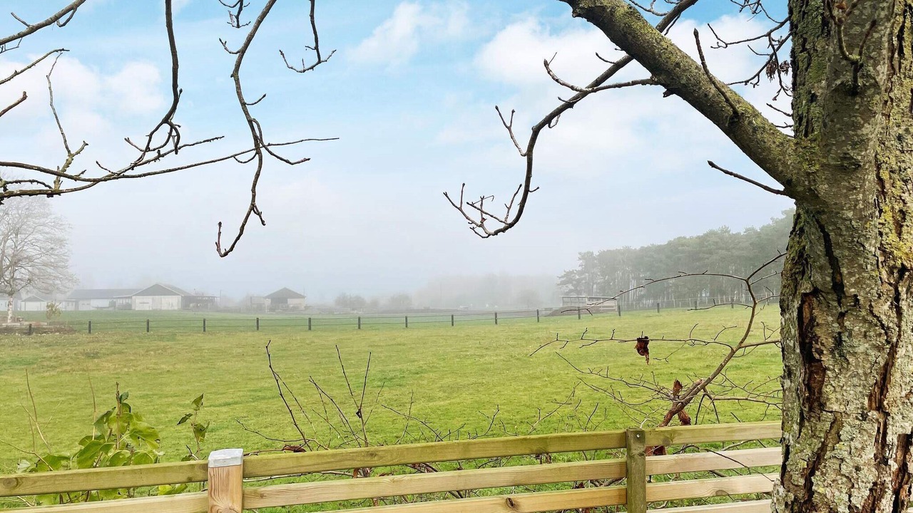 Photo of Outdoor in Tomelilla