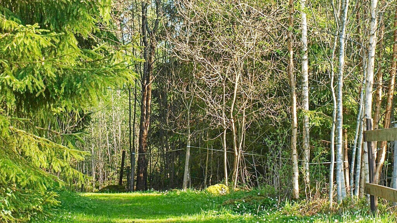 Photo of Outdoor in Frovi