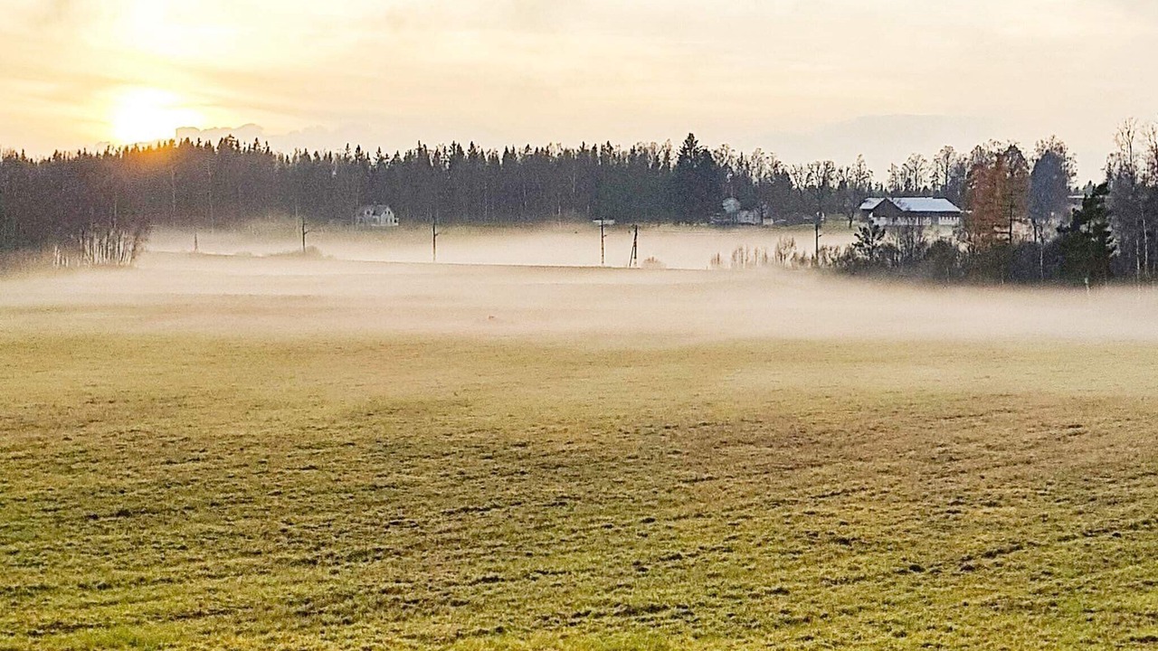 Photo of Others in Frovi