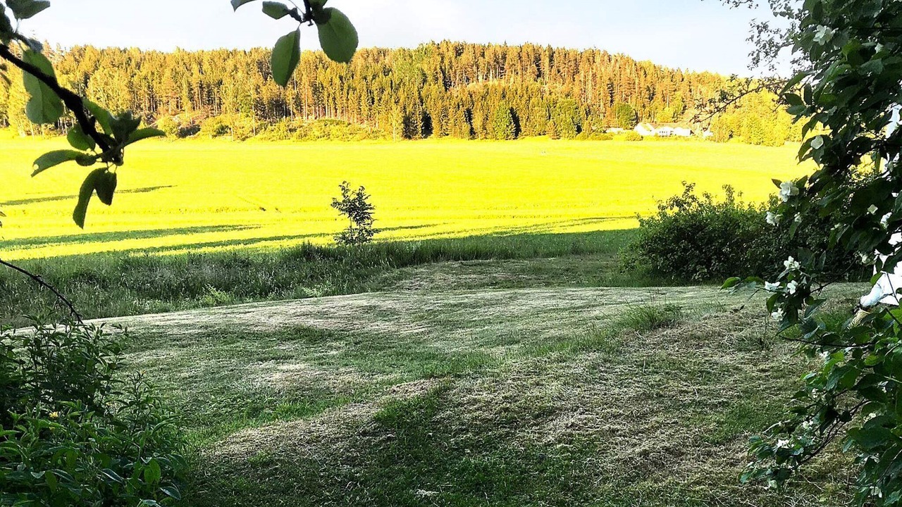 Photo of Others in Tystberga