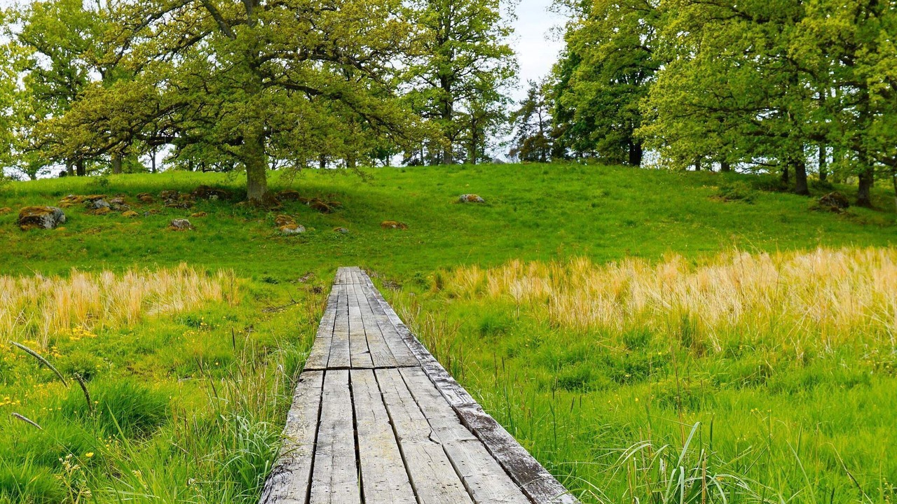 Photo of Outdoor in Flen Municipality