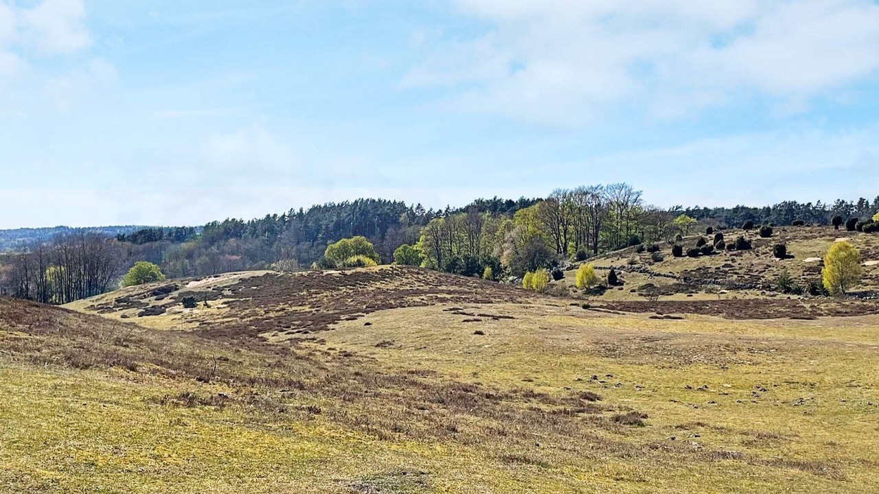Photo of Outdoor in Brosarp