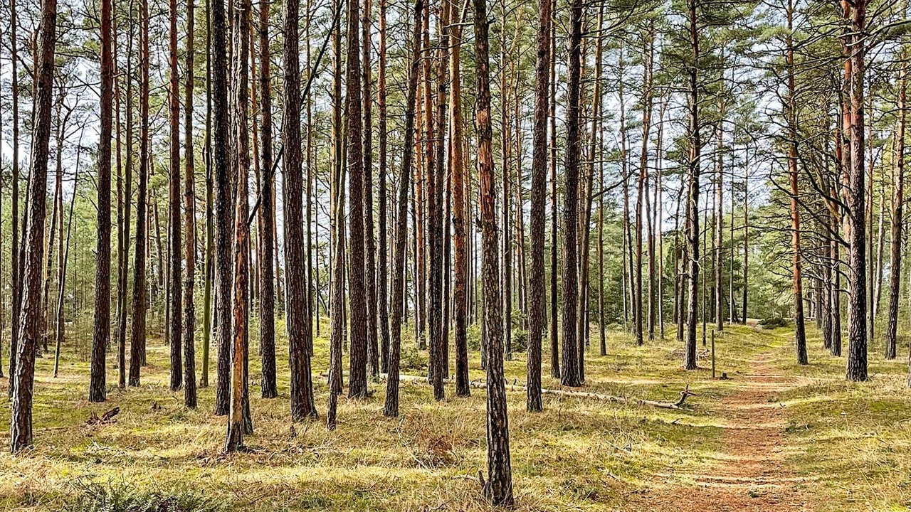 Photo of Others in Brosarp
