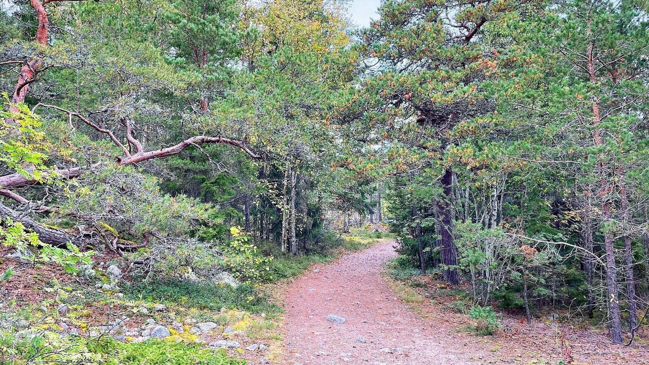 Photo of Outdoor in Vaddo