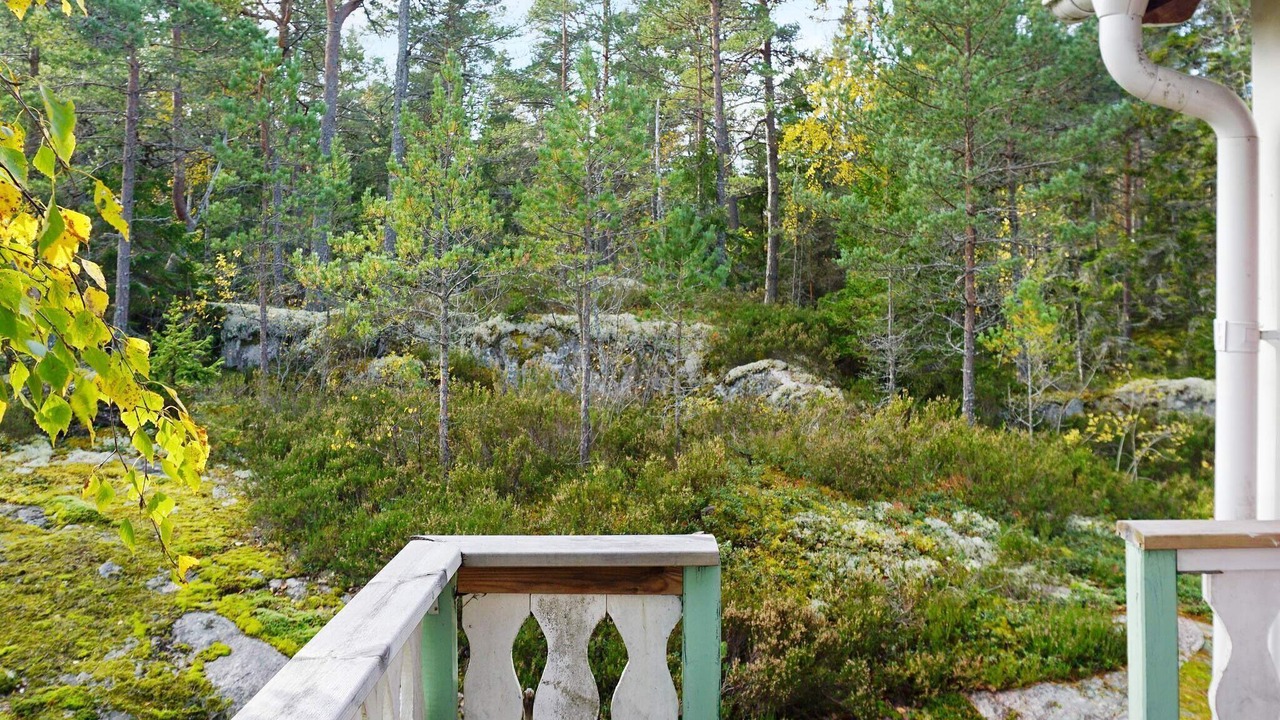 Photo of Outdoor in Vaddo