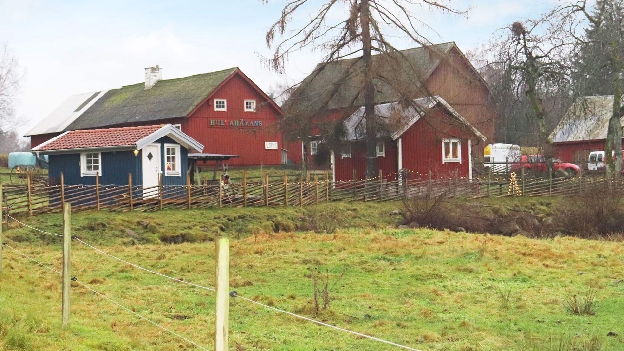 Photo of Outdoor in Halmstad