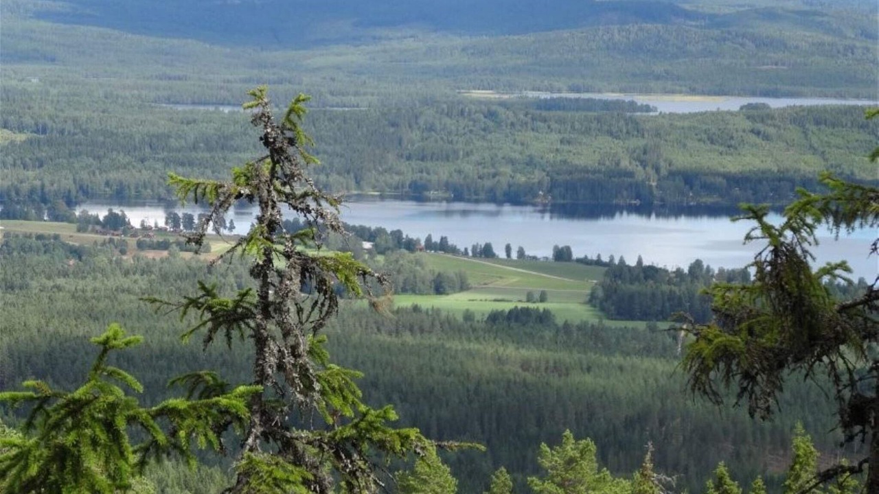 Photo of Others in Overbyn