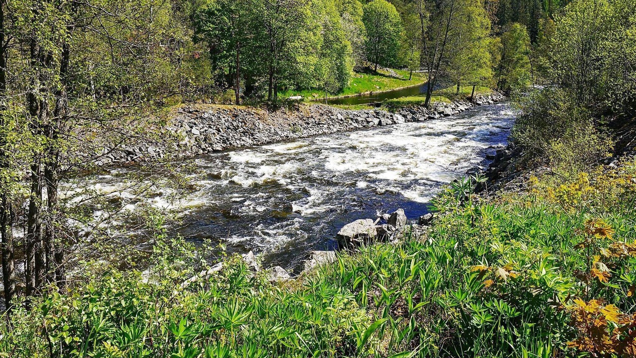 Photo of Others in Billingsfors