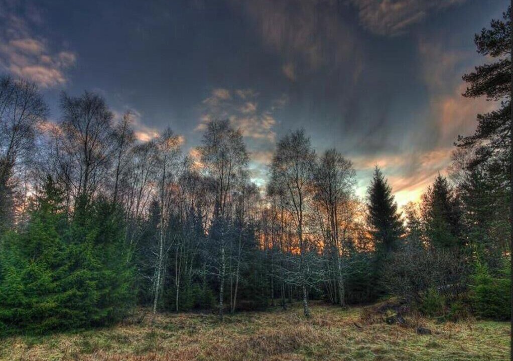 Photo of Outdoor in Orby