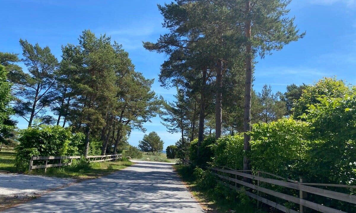Photo of Outdoor in Ljugarn