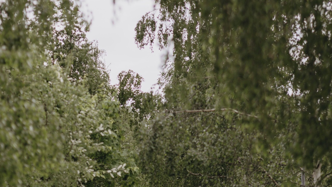 Photo of Outdoor in Borlange