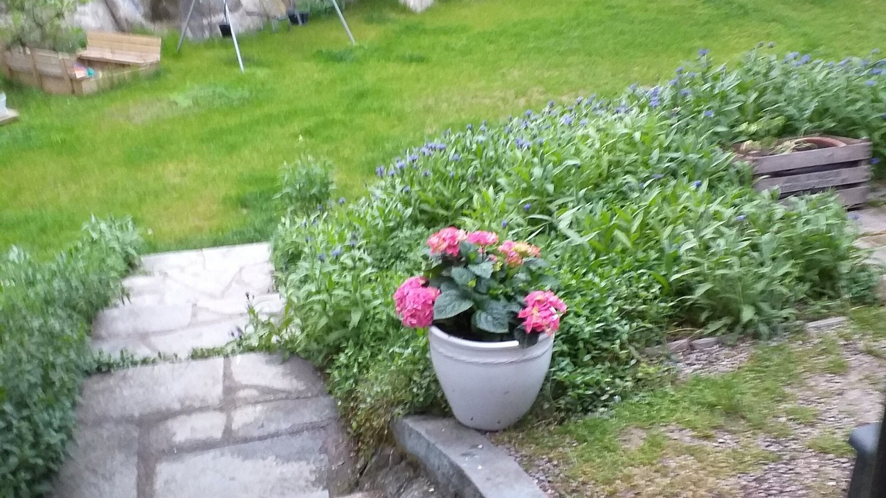 Photo of Outdoor in Norrtalje