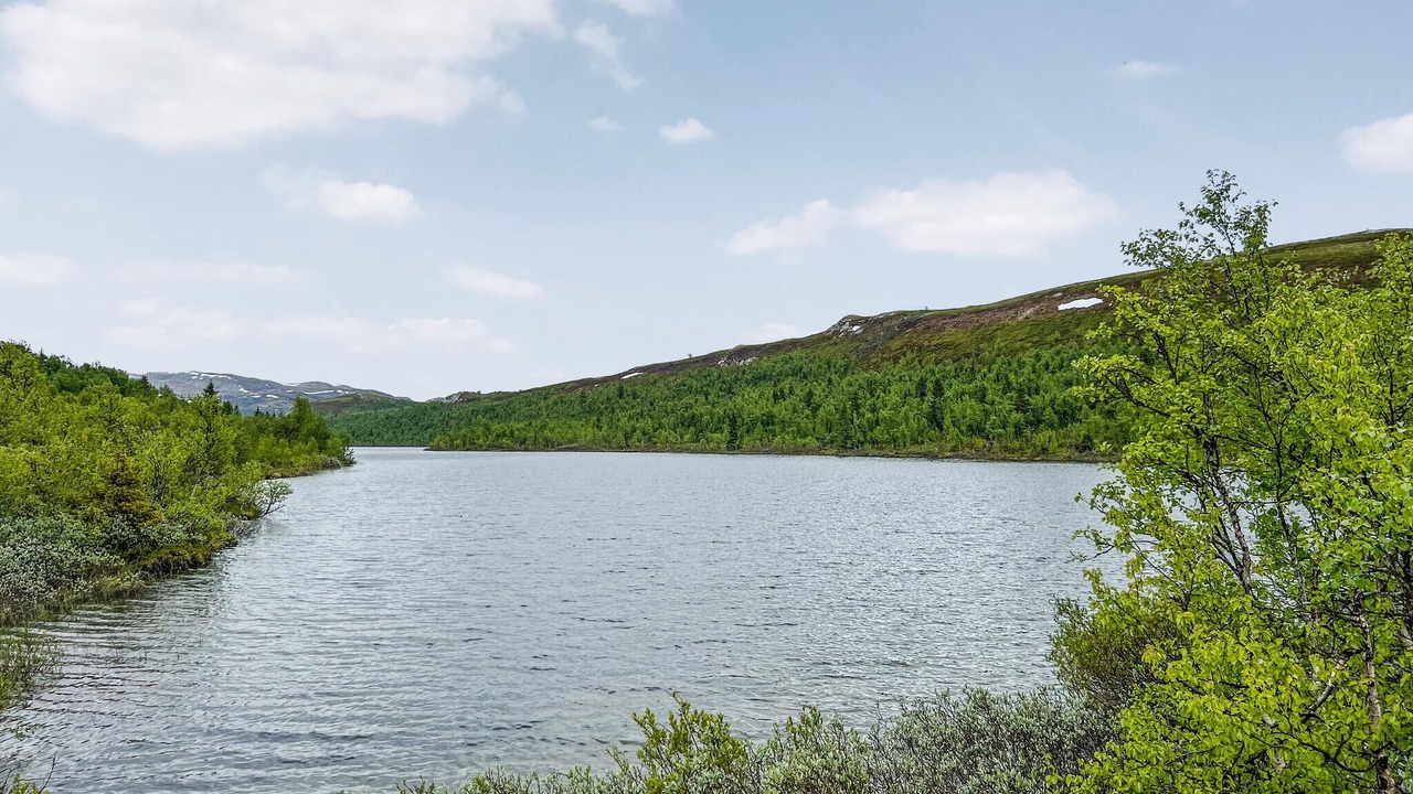 Photo of Others in Nordre Land