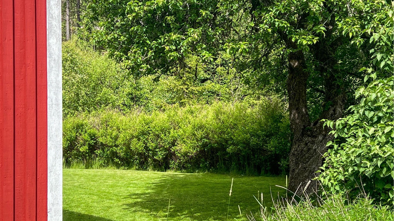 Photo of Outdoor in Gurserod