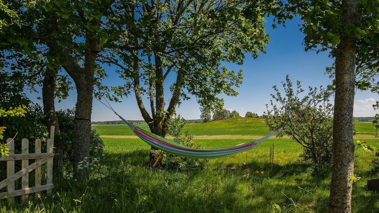 Photo of Outdoor in Tun