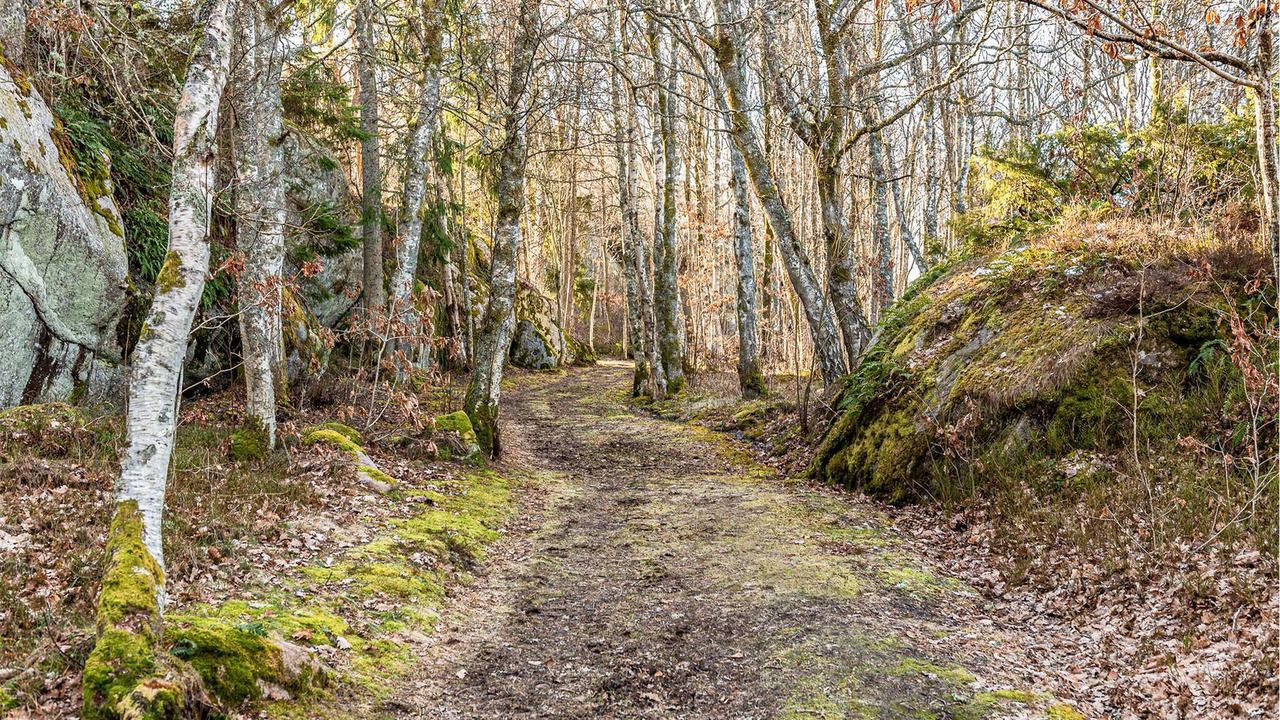 Photo of Outdoor in Grundsund