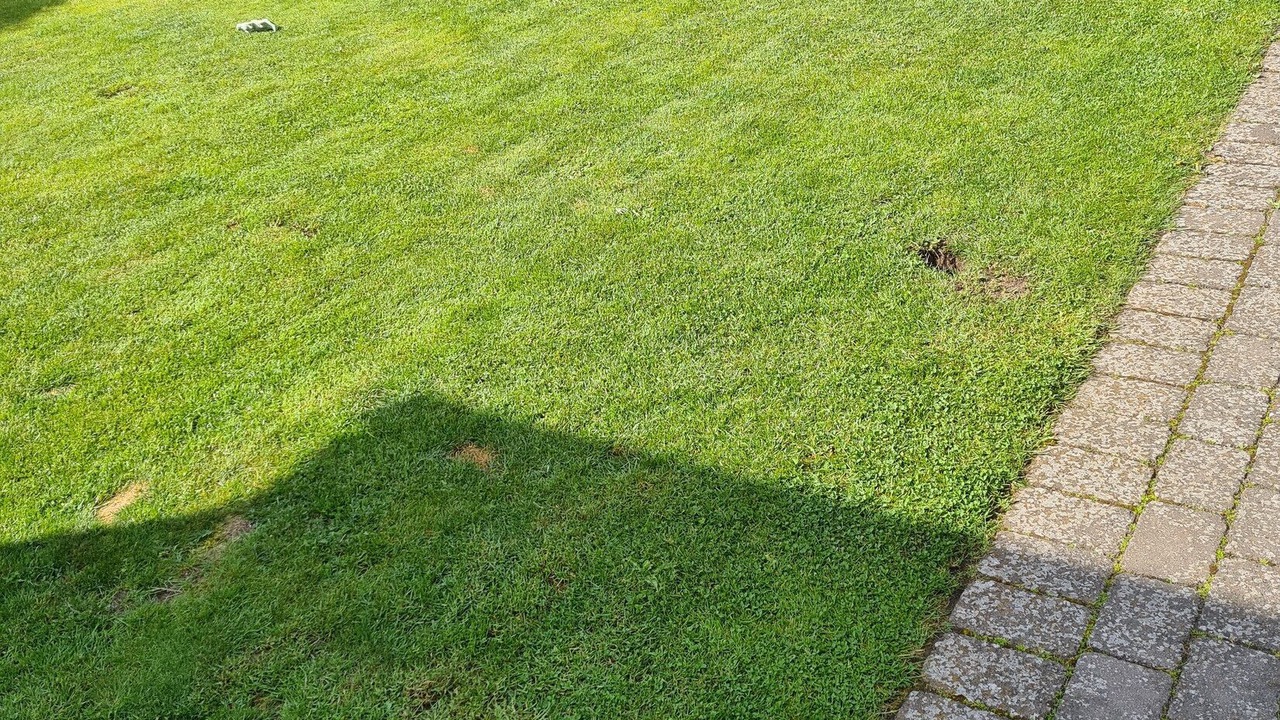 Photo of Outdoor in Ystad