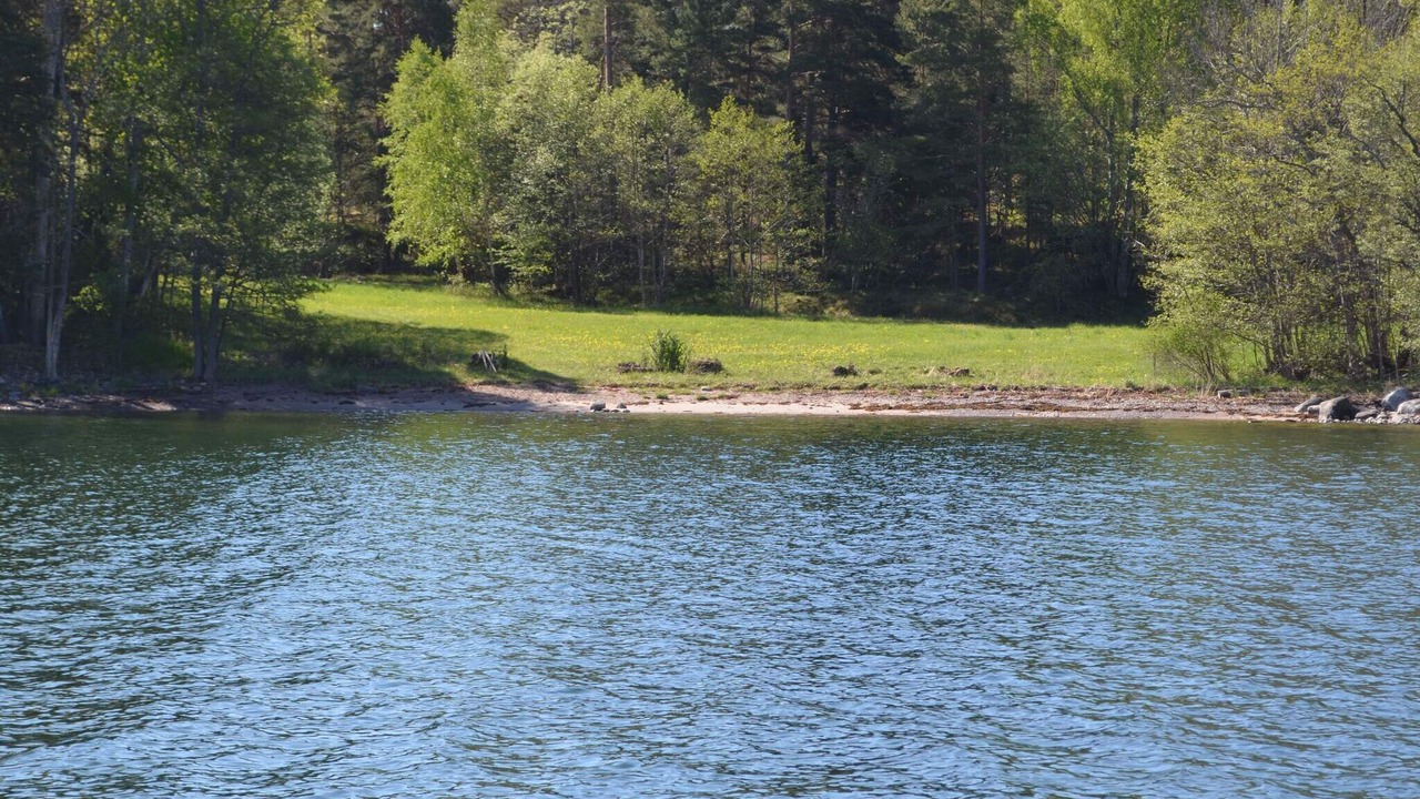 Photo of Others in Gallnoby