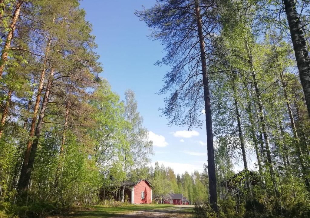Photo of Outdoor in Keminmaa