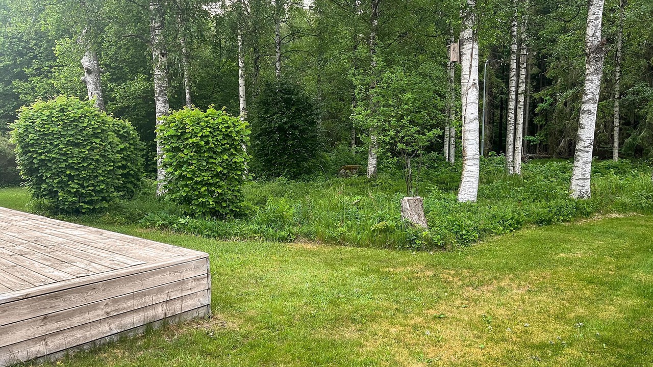 Photo of Outdoor in Lammhult