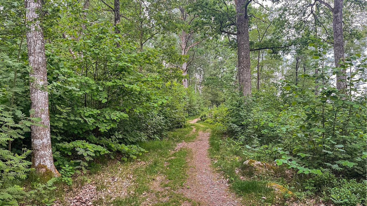 Photo of Outdoor in Lammhult
