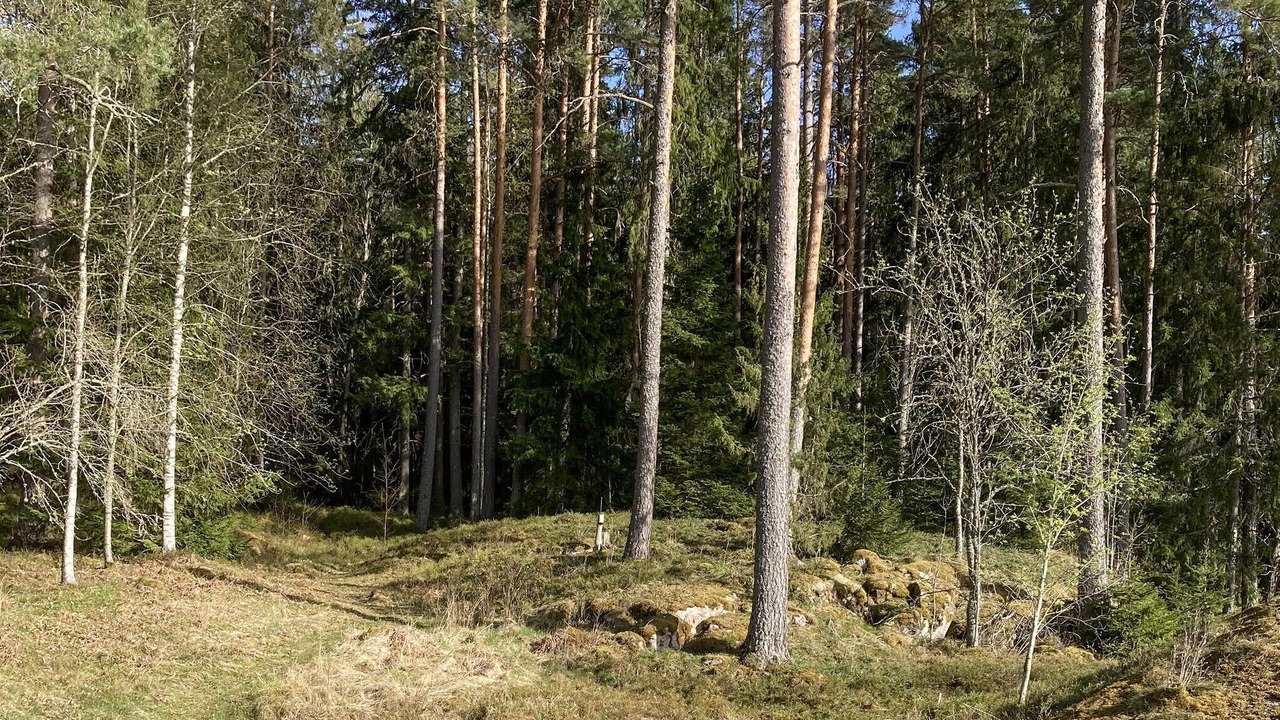Photo of Others in Kristinehamn