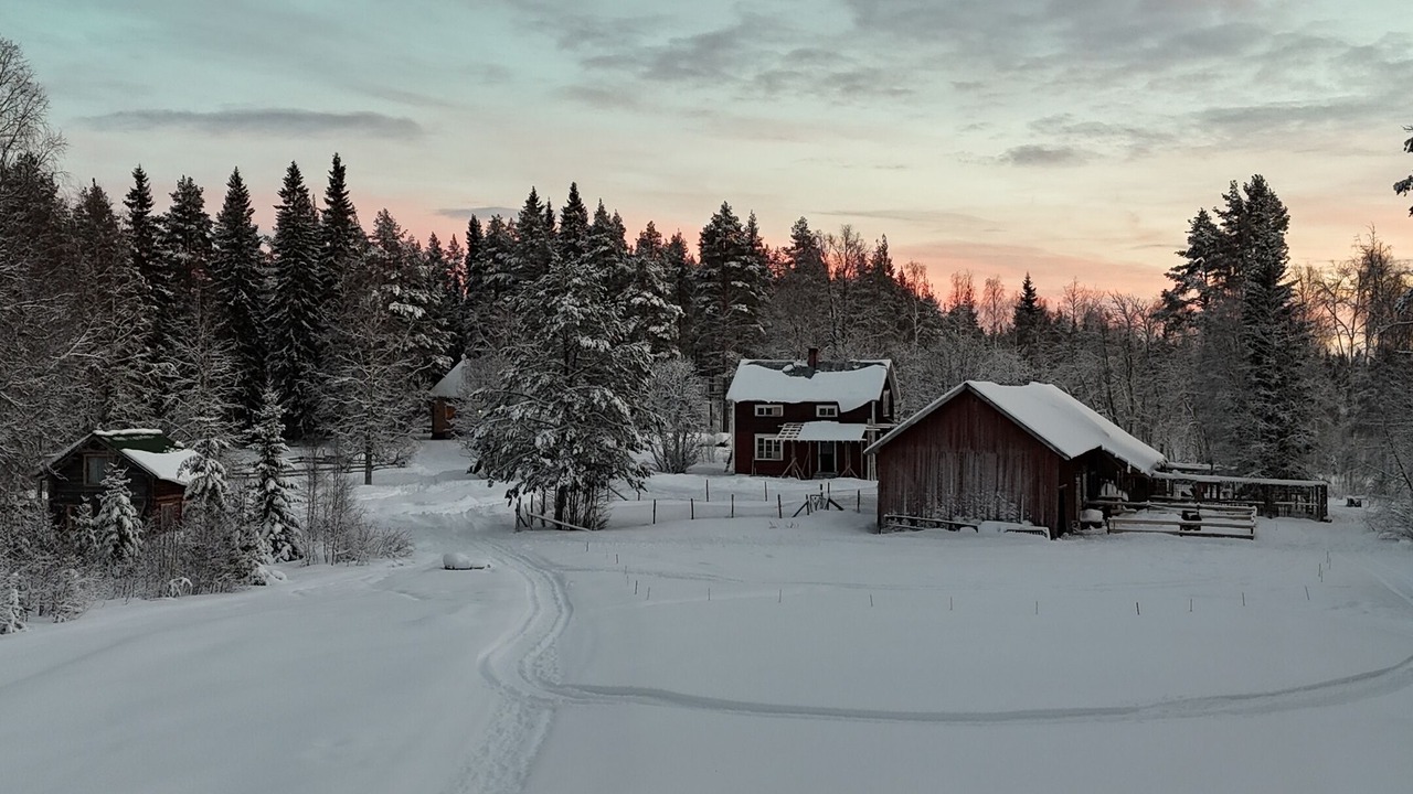 Photo of Others in Jorn